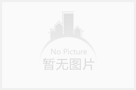愿景
